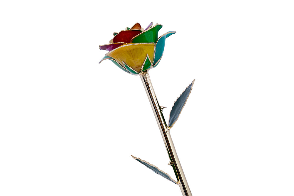 Eternal Rainbows Of Love Rose Eternal Rainbows Of Love Rose